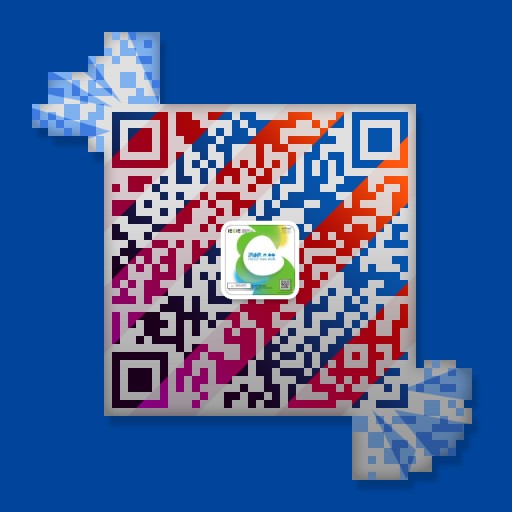 the qr code