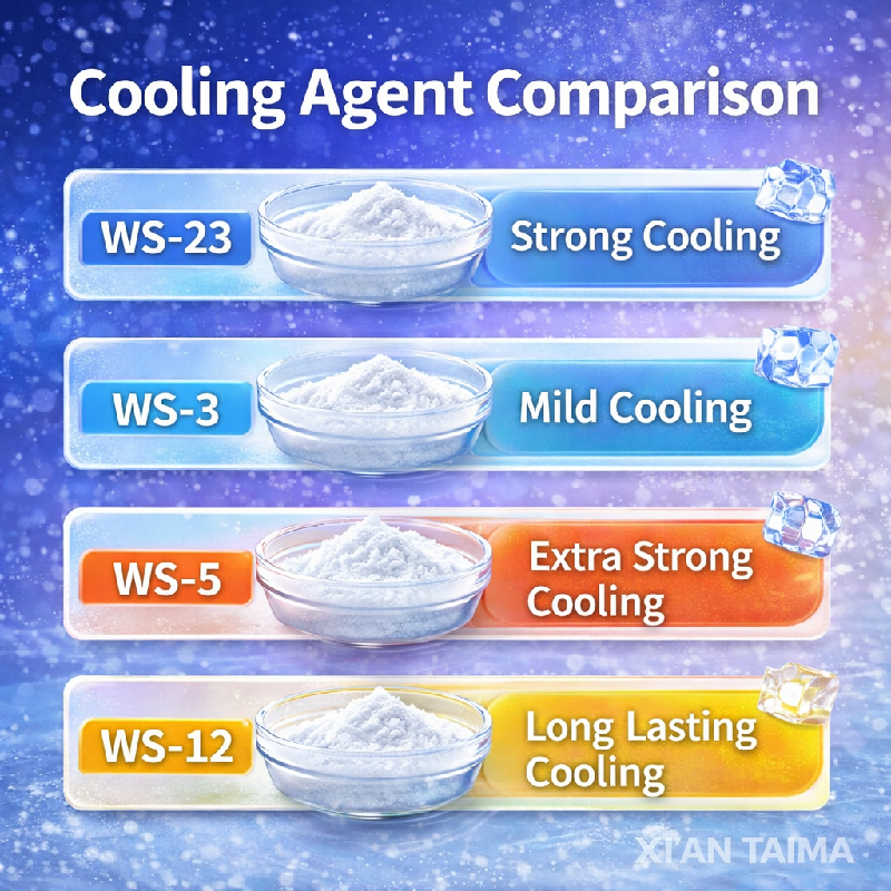 Cooling Agent WS-12 - Long-lasting cooling powder for professional food and chewing gum formulations