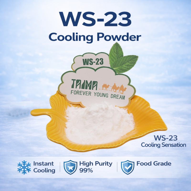 High purity WS-23 cooling agent powder CAS 51115-67-4 manufactured by Xian Taima