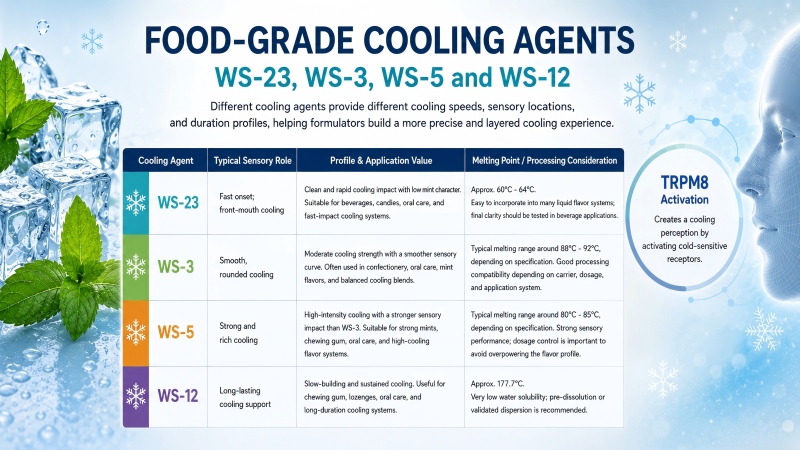 Food-grade cooling agents comparison chart for WS-23, WS-3, WS-5 and WS-12 showing sensory roles, application value and processing considerations.
