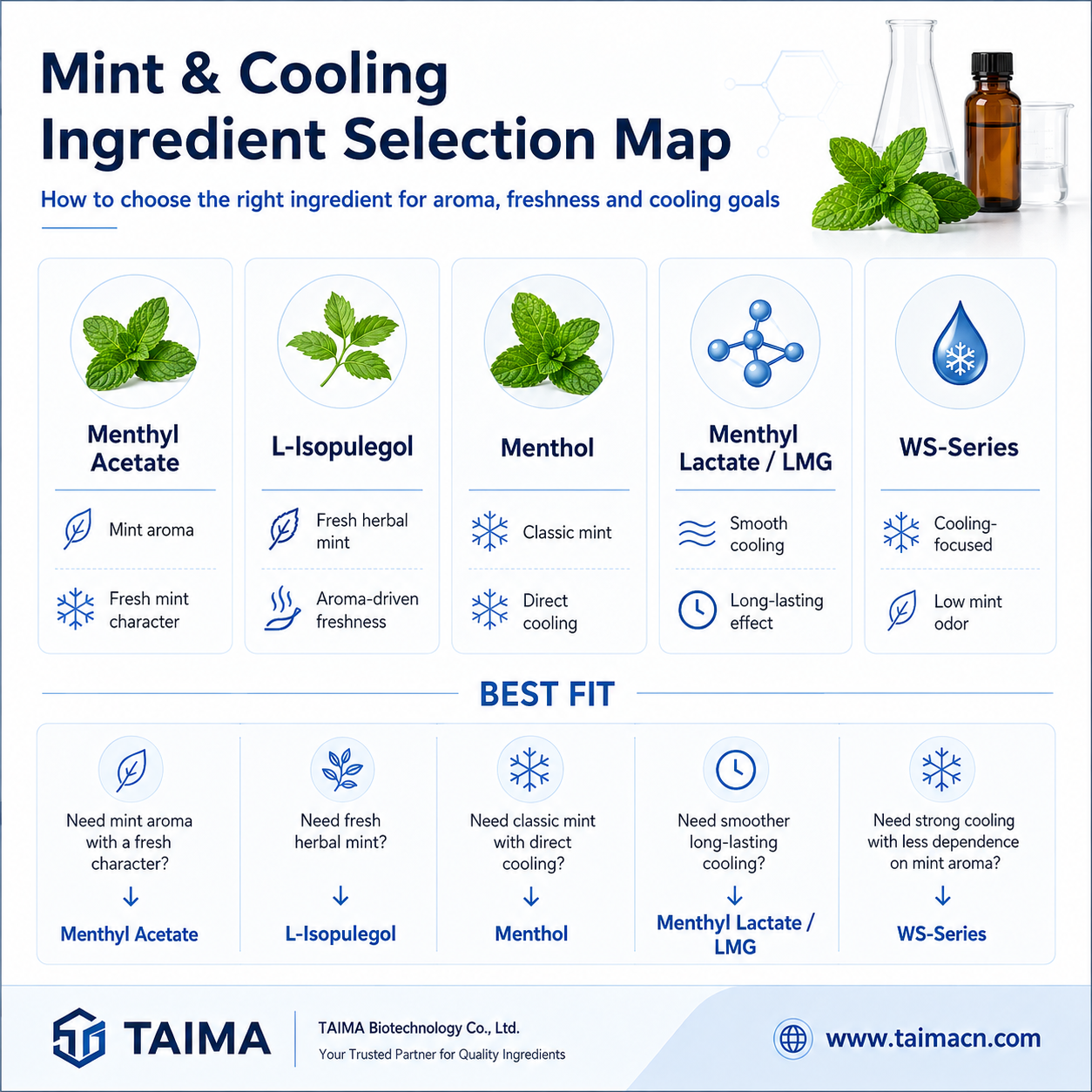 Mint and Cooling Ingredient Selection Map with Menthyl Acetate Isopulegol Menthol and WS Cooling Agents – TAIMA